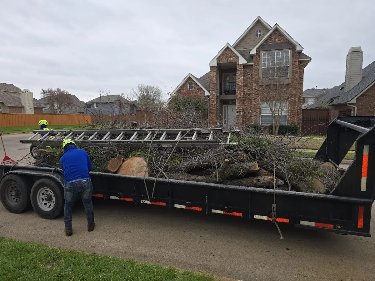 Expert Crown Reduction with proper safety equipment in Rock Island